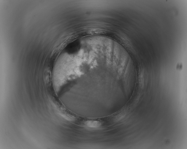 X0000111350169200907241207