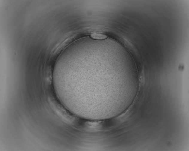 X0000111350170200907241207