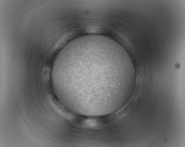 X0000111350171200907241207