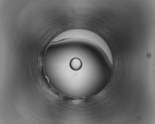 X0000111350172200907241207