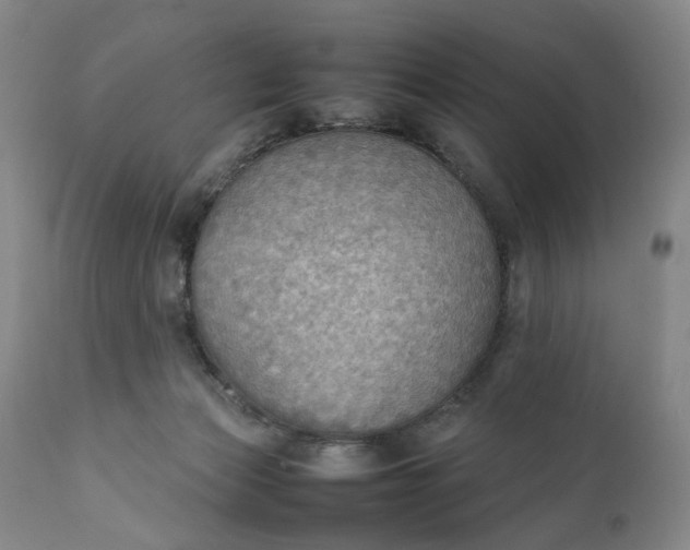 X0000111350173200907241207