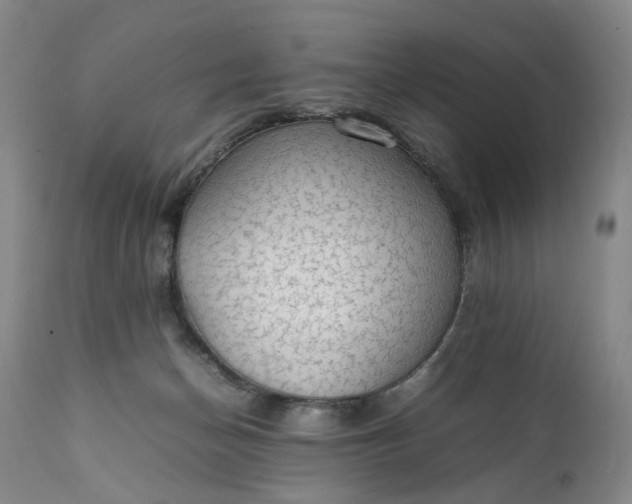 X0000111350174200907241207