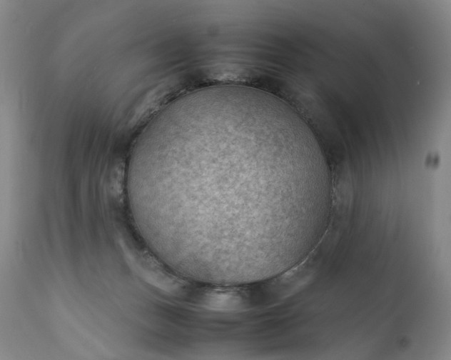 X0000111350175200907241207