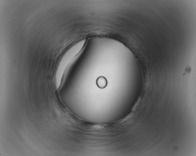 X0000111350176200907241207