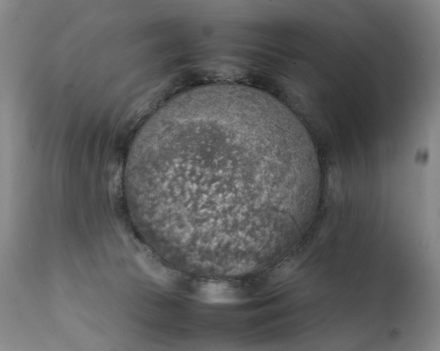 X0000111350177200907241207