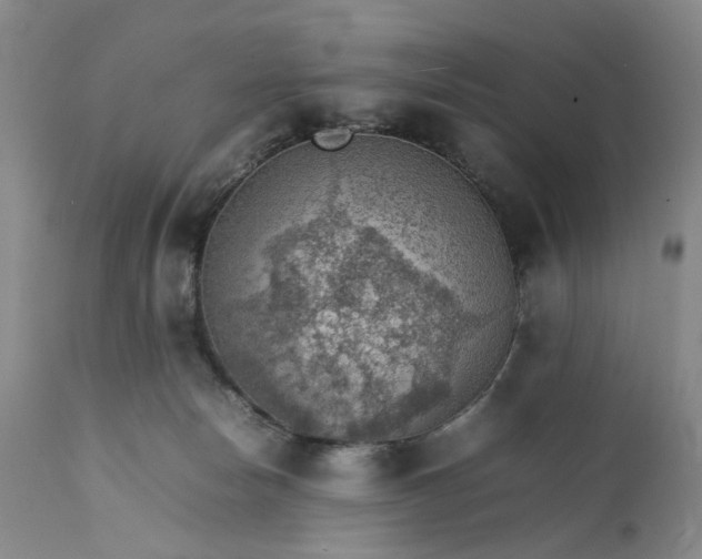 X0000111350178200907241207