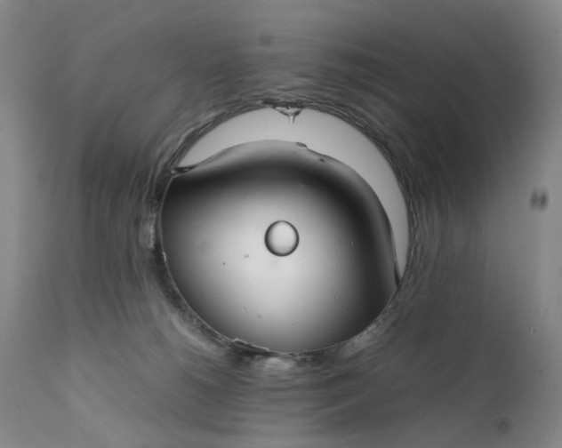 X0000111350180200907241207