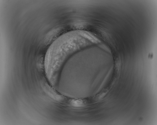 X0000111350181200907241207