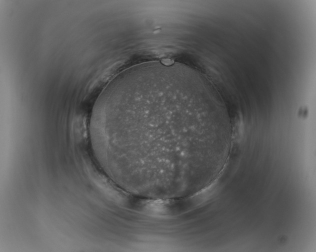 X0000111350182200907241207