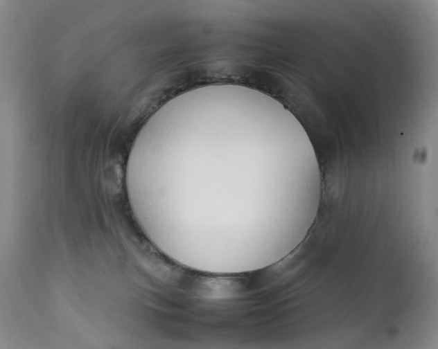 X0000111350183200907241207