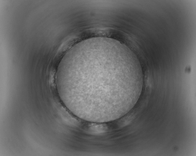 X0000111350185200907241207