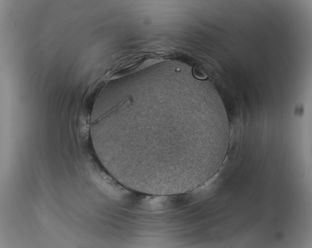 X0000111350186200907241207