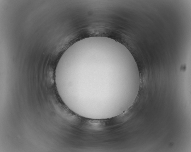 X0000111350187200907241207