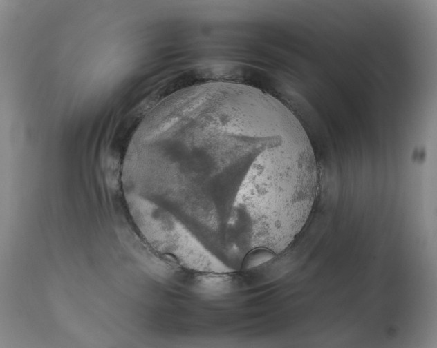 X0000111350189200907241207