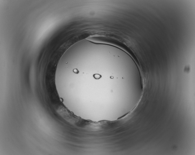 X0000111350190200907241207