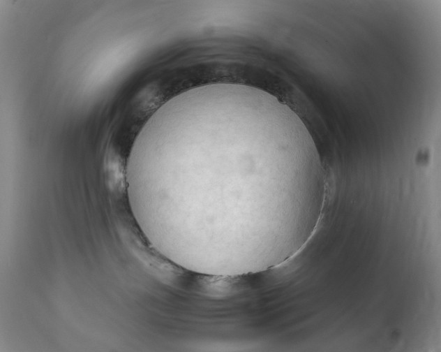 X0000111350191200907241207