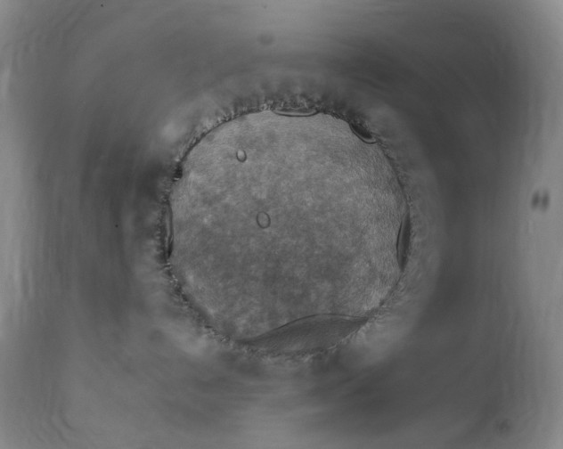 X0000111350192200907241207