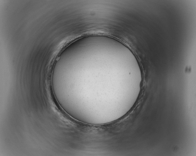 X0000111350193200907241206