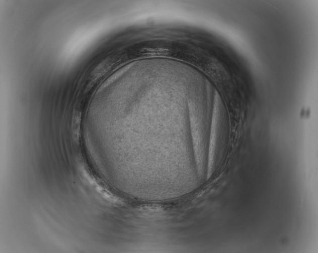 X0000111350194200907241206