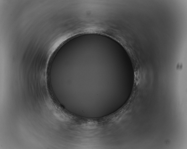 X0000111350196200907241206