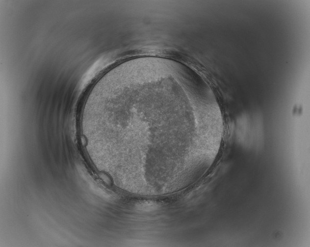 X0000111350198200907241206