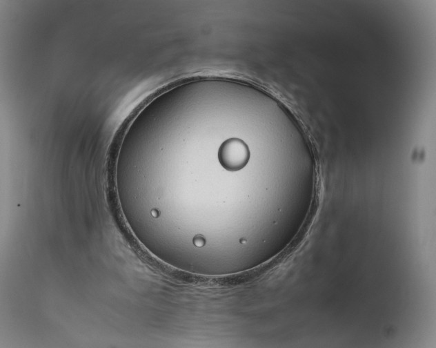 X0000111350199200907241206