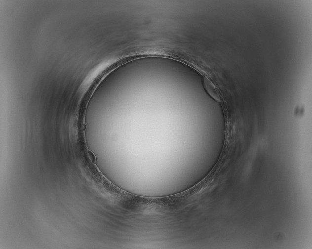 X0000111350200200907241206