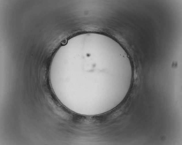 X0000111350201200907241206