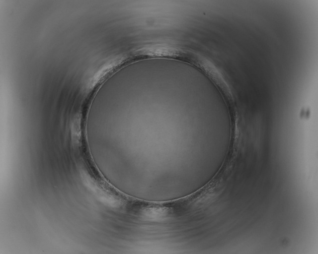 X0000111350202200907241206