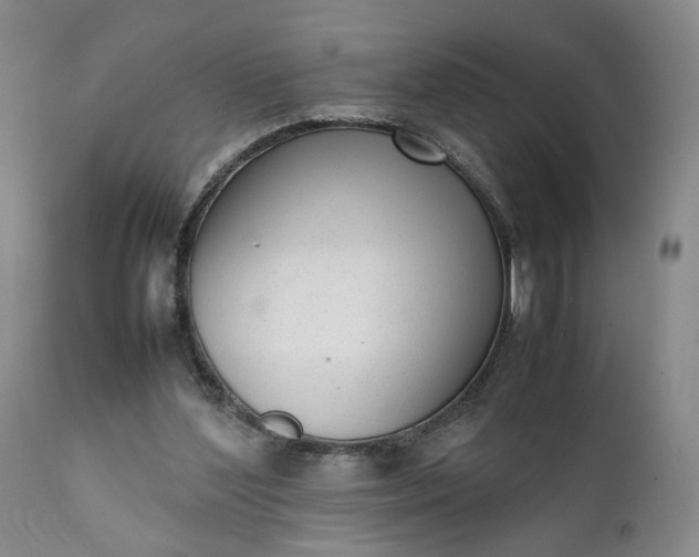 X0000111350204200907241206