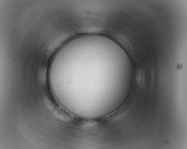 X0000111350206200907241206