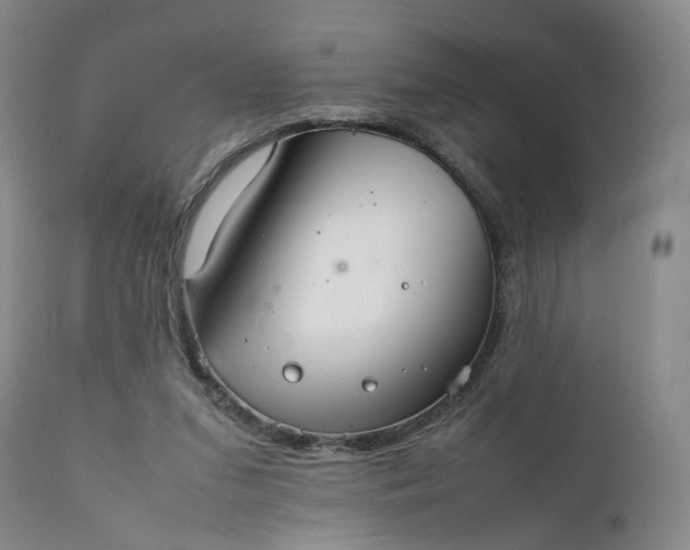 X0000111350207200907241206