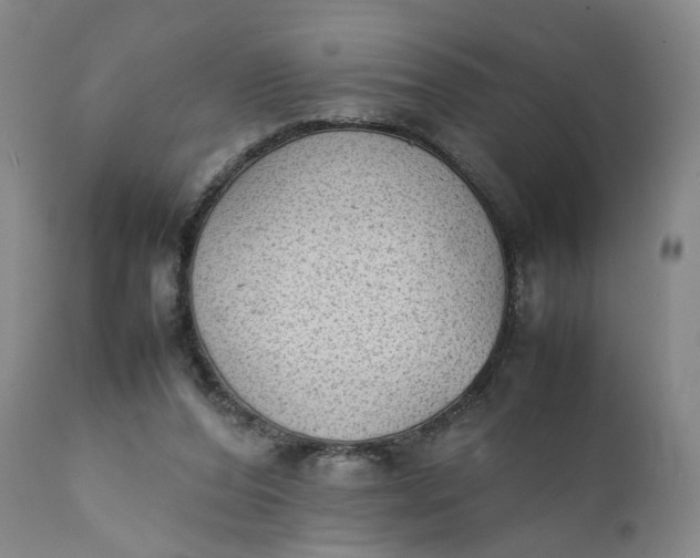 X0000111350208200907241206