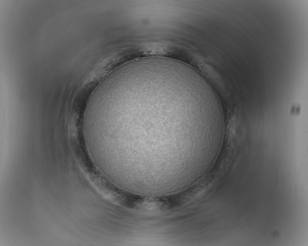 X0000111350209200907241206