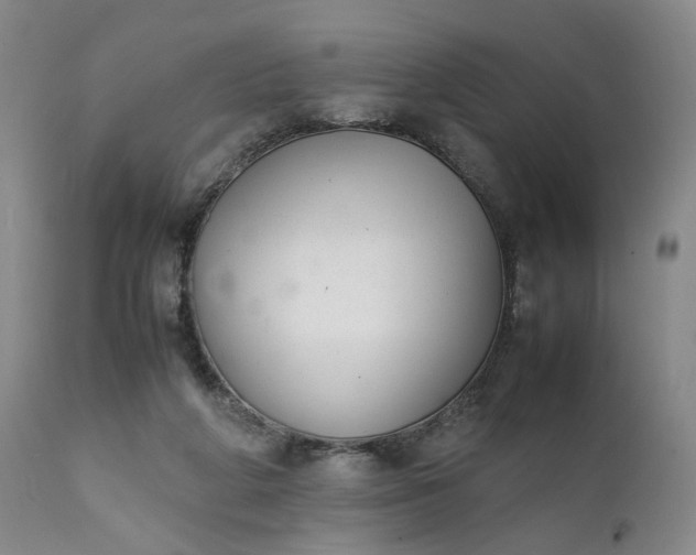 X0000111350210200907241206