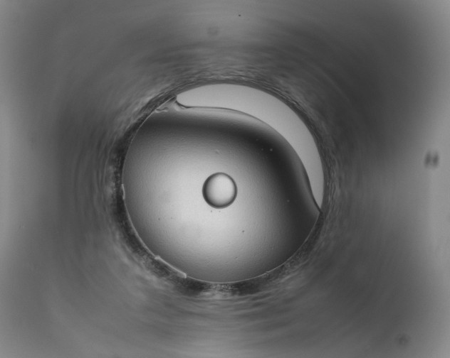 X0000111350211200907241206