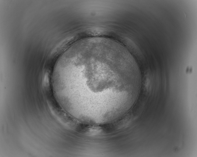 X0000111350214200907241206