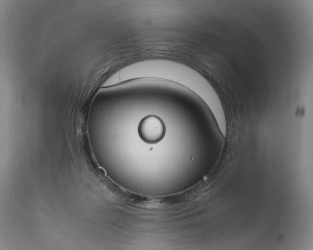 X0000111350219200907241206