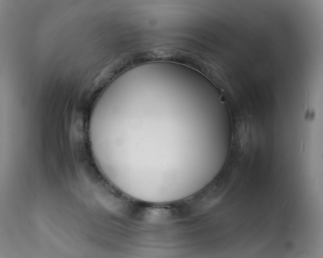 X0000111350220200907241206