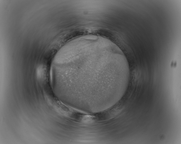 X0000111350222200907241206