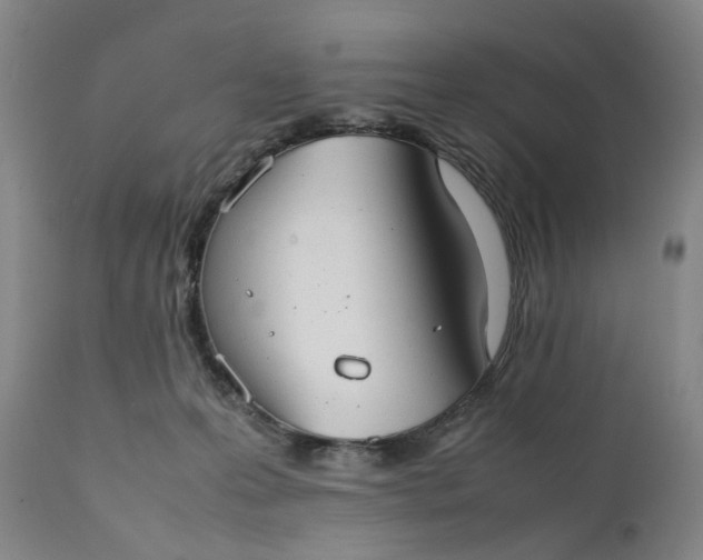 X0000111350223200907241206