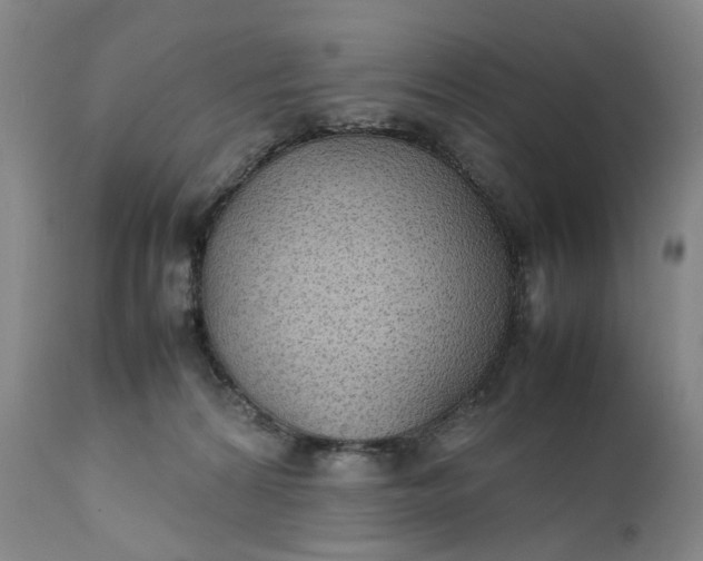 X0000111350224200907241206