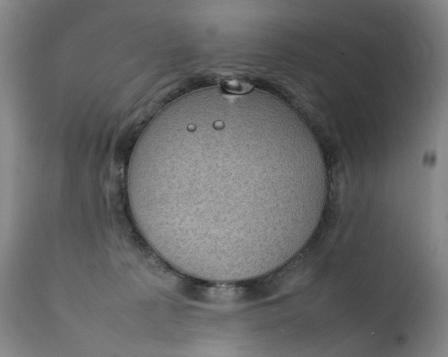 X0000111350225200907241206