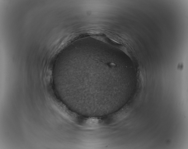 X0000111350227200907241206