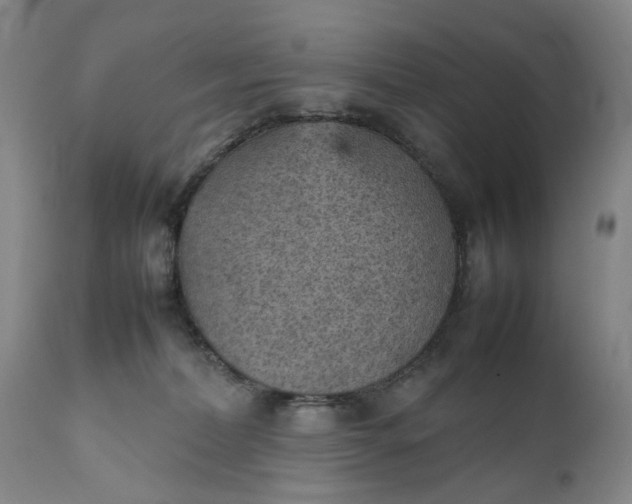 X0000111350228200907241206