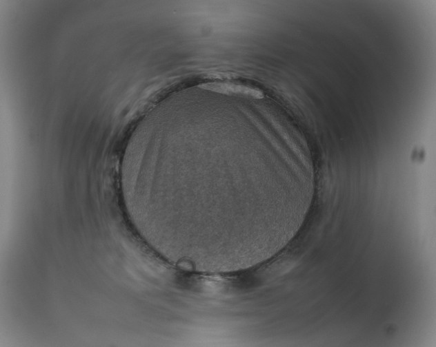 X0000111350229200907241206