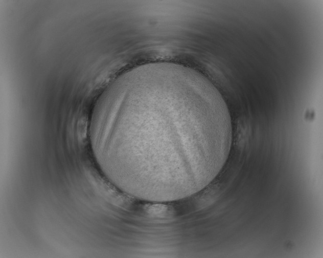 X0000111350230200907241206