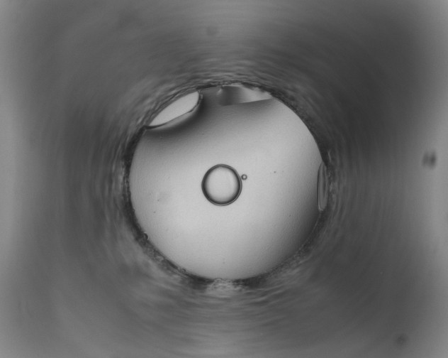 X0000111350231200907241206