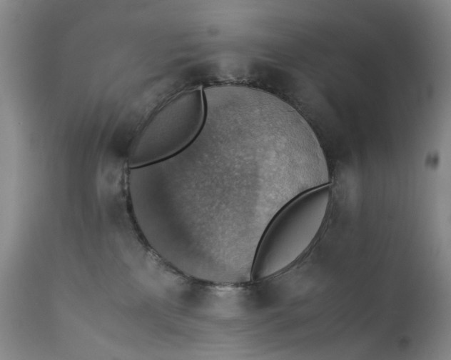 X0000111350233200907241206