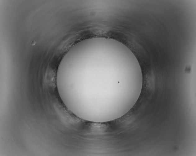 X0000111350234200907241206